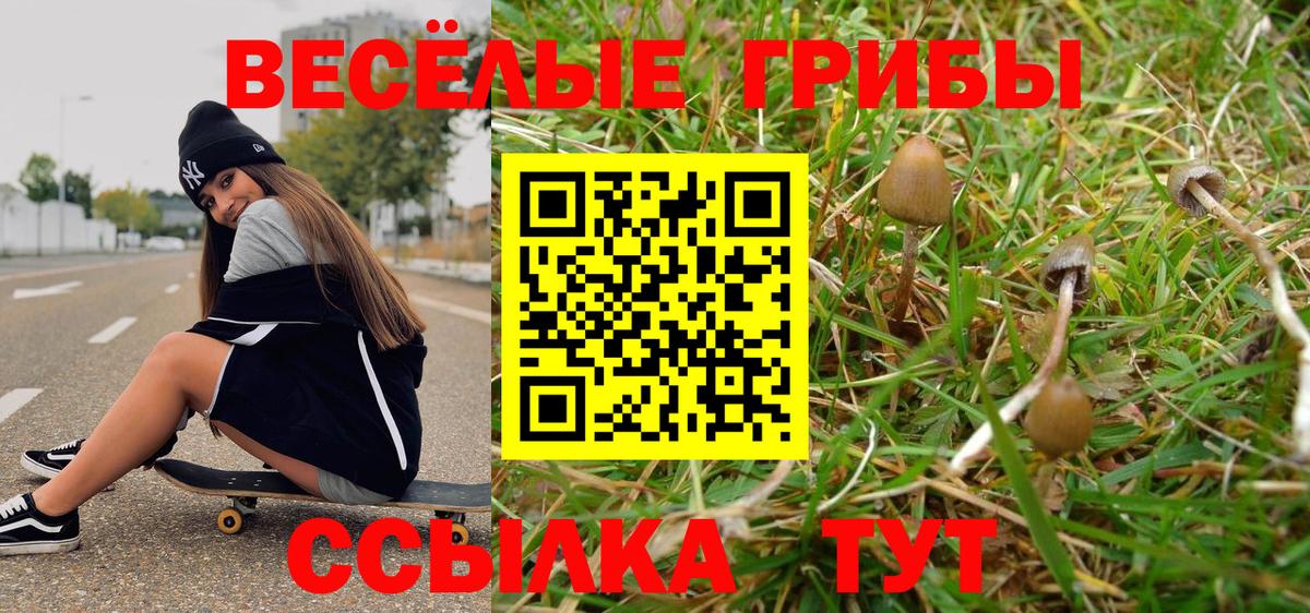 Псилоцибиновые грибы Cubensis  Псилоцибиновые грибы MAGIC MUSHROOMS  Серов  Вход с VPN 